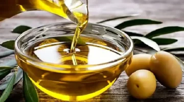 جودة زيت الزيتون في خطر.. تحذير هام للمزارعين من خلط الثمار المتساقطة